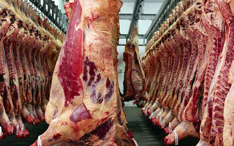 رکود در بازار گوشت / قیمت هر کیلو شقه گوسفندی ۱۰۰ هزار تومان