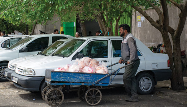 از ورود تا خروج مرغ در یک بازار عمده فروشی (گزارش تصویری)