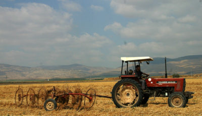 افزایش نرخ خرید تضمینی گندم کمک به کشاورزی است؟