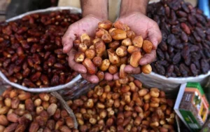 کاهش 60 درصدی کیفیت خرما در آبادان