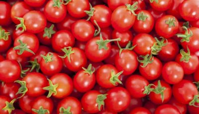 علت افزایش قیمت گوجه فرنگی اعلام شد