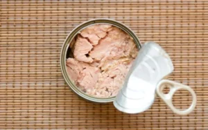 سقوط ۷۰ درصدی واردات ماهی به ایران علت افزایش قیمت کنسرو تن است