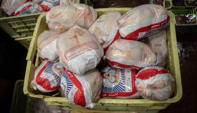 قیمت مرغ گرم امروز ۲۶ مرداد ۱۴۰۱/ تخم‌مرغ ارزان شد