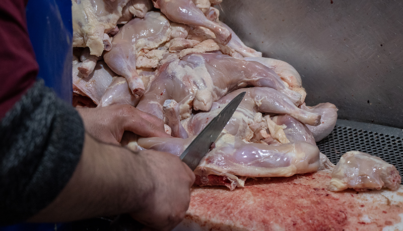 تهران صادرکننده مرغ به سایر استان‌ها نیست