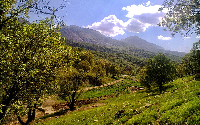 منطقه نوژیان