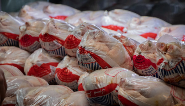 قیمت مرغ امروز 9 آذر 1401/ مرغ تازه کیلویی چند؟