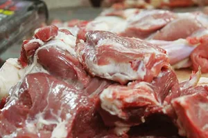 قیمت منطقی هر کیلو لاشه گوسفندی یک میلیون و ۶۰۰ هزار تومان