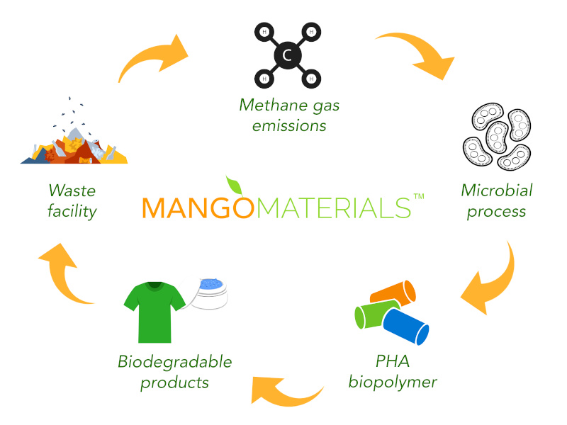 PHA Cycle mango materials