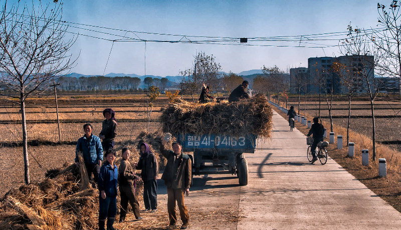 کشاورزان کره شمالی