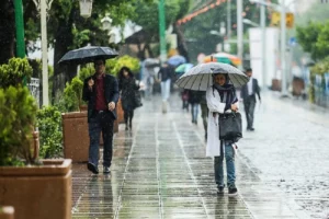 هشدار هواشناسی به زعفران‌کاران؛ سرمای شدید و بارش‌های سنگین از یکشنبه
