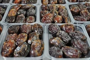 دومین تولیدکننده خرما در جهان هستیم/ صادرات در پیچ‌وخم رفع تعهد ارزی