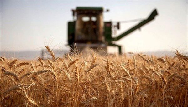 هدفمندسازی یارانه آرد امنیت غذایی ایران را تأمین می‌کند؟/ بحران گندم در نهمین ماه جنگ روسیه