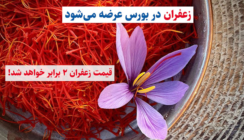 زعفران در بورس عرضه می‌شود / قیمت زعفران 2 برابر خواهد شد!