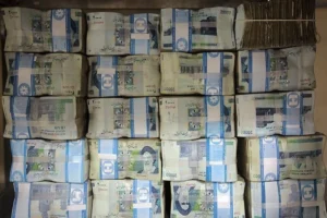 کوچک سازی دولت و رفع کسری بودجه راه حل خروج از رکود تورمی است