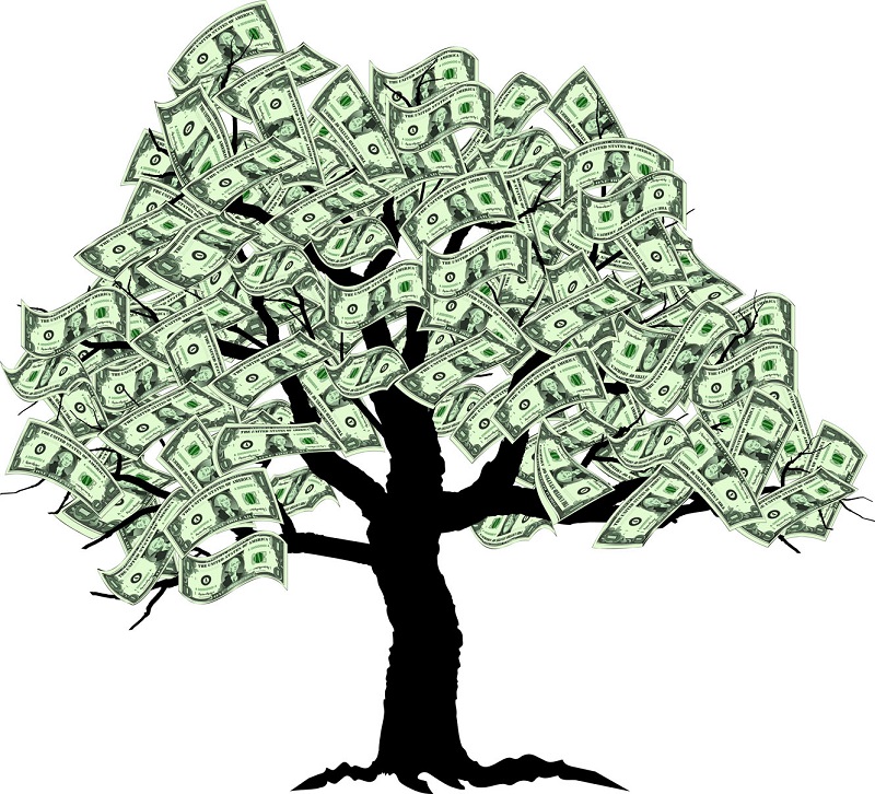 money tree