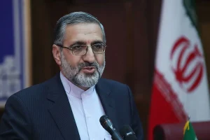 واکنش اسماعیلی به اظهارات رئیس جمعیت هلال احمر درباره احتمال ترور شهید رئیسی