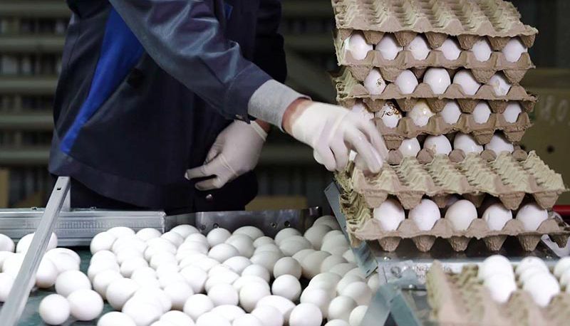 قیمت تخم مرغ امروز یکشنبه ۴ دی ۱۴۰۱