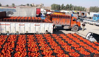 بازگشت محموله‌های گوجه فرنگی از عراق به دلیل خرابی