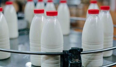جلسه فوری برای جلوگیری از افزایش قیمت شیر!