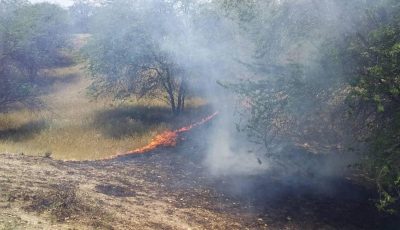 آخرین اخبار از آتش‌سوزی در جنگل‌های هیرکانی