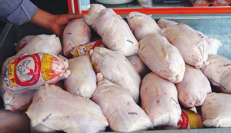 تکذیب کاهش ۵۰ درصدی تولید گوشت مرغ در کشور