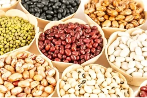 قیمت لوبیا در بازار به نیم میلیون رسیده و هم قیمت گوشت شده است