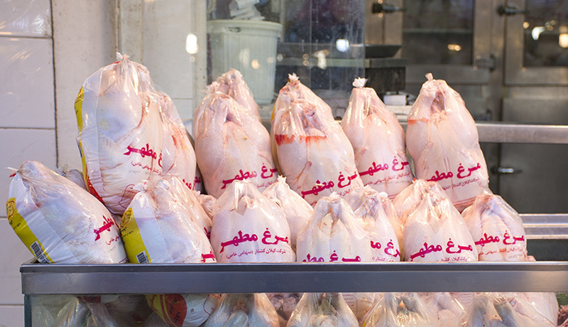 احتمال کاهش قیمت مرغ در عمده و خرده فروشی‌ها