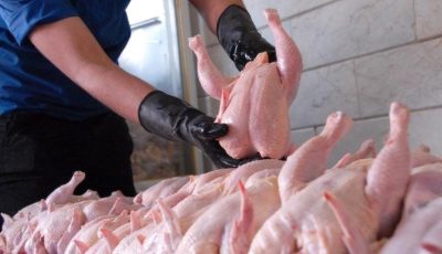 افزایش قیمت گوشت گوسفندی و مرغ در روزهای پایانی سال!