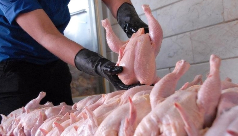 قیمت مرغ گرم ۳ خرداد ۱۴۰۱/ شگرد دولت برای حمایت از تولید مرغ ایرانی