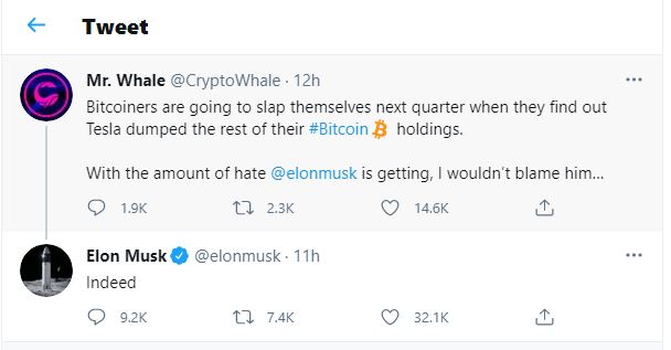 elun musk