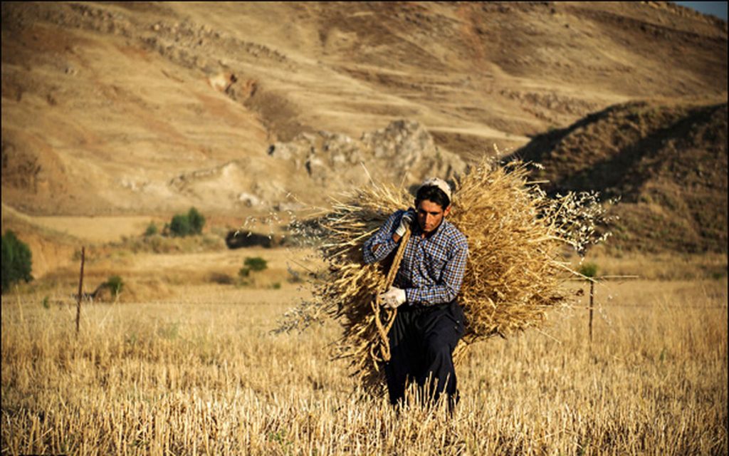 مواد غذایی