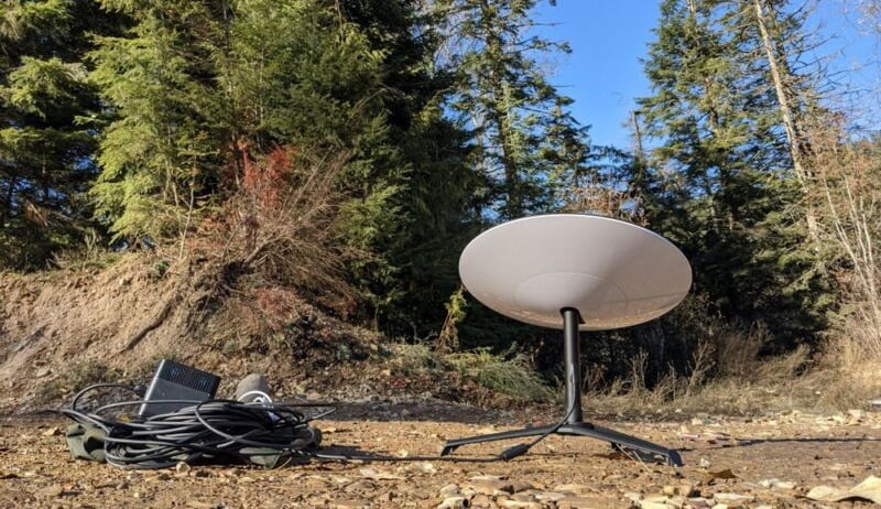 starlink dish forest 800x600 1