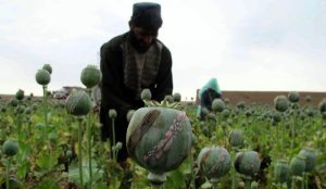 ورود بخش خصوصی به معادن افغانستان/ شرایط داخلی سرمایه‌گذاران معدن را فراری داد؟