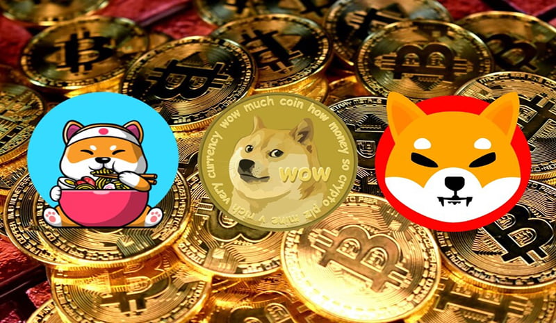 meme coins