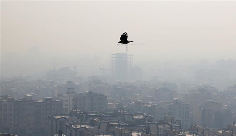 WHO Air pollution is worse than we thought but theres hope we can fix it FN 06Dec21