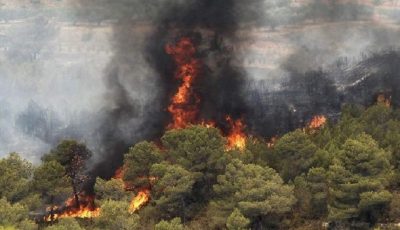 آتش در پارک ملی گلستان دوباره شعله‌ور شد