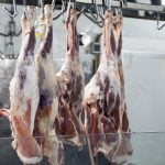 قیمت گوشت امروز ۱۶ آذر ۱۴۰۱/گوشت گوسفندی کیلویی چند؟