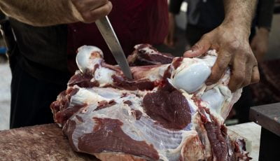 قیمت گوشت گرم ۸ مرداد ۱۴۰۱/ عرضه بیش از ۲۰۰ هزار تن گوشت طیور در خردادماه