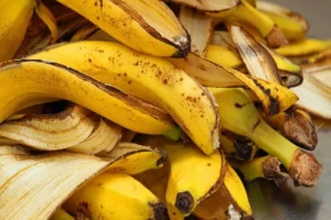 طی سه سال آینده ۸۰ درصد نیاز داخلی موز از تولید داخل تأمین شود