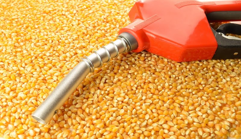 RFS corn gas biofuel Copy