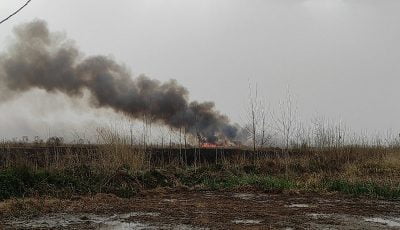 آتش سوزی در محدوده تالاب انزلی (+ فیلم)