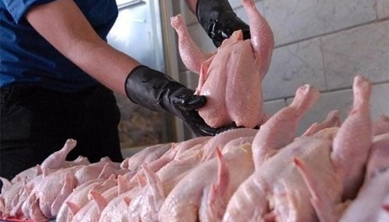 قیمت مرغ