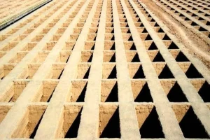 ذخیره قبر در تهران کافی است؟