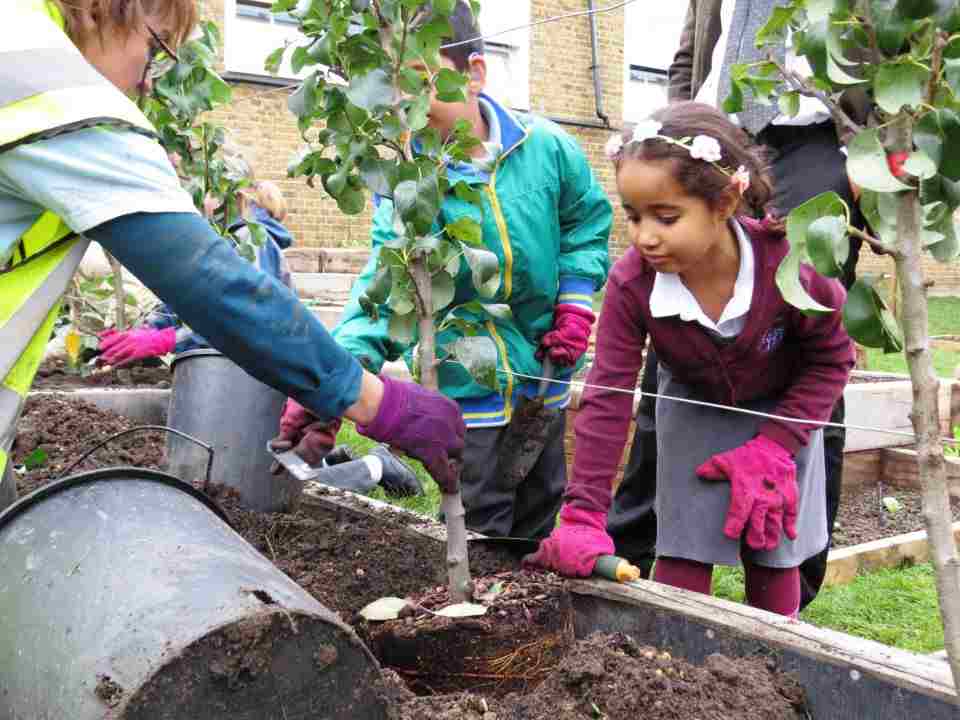 آموزشِ «عشق به طبیعت» در دبستان‌های بریتانیا