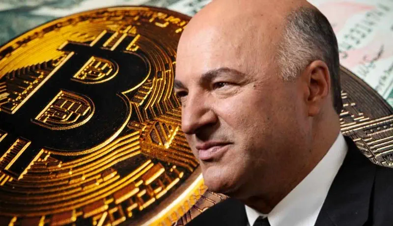 kevin oleary buys the dip 1