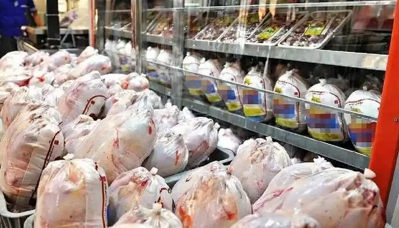 قیمت مرغ افزایش می یابد؟