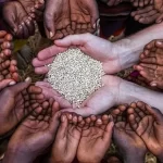 گزارش بانک جهانی از امنیت غذایی در جهان