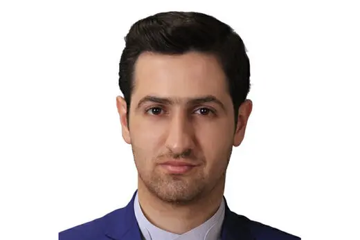 امیر ثامنی برنامه هفتم توسعه