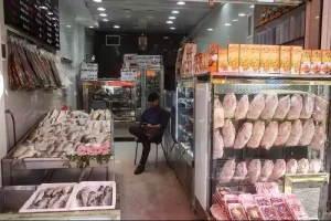 تعیین قیمت مصوب برای مرغ منطقی نیست/ عرضه و تقاضا قیمت مرغ را تعیین می‌کند