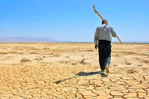 ۴۳ درصد تالاب‌های کشور به کانون گرد و غبار تبدیل شده‌اند